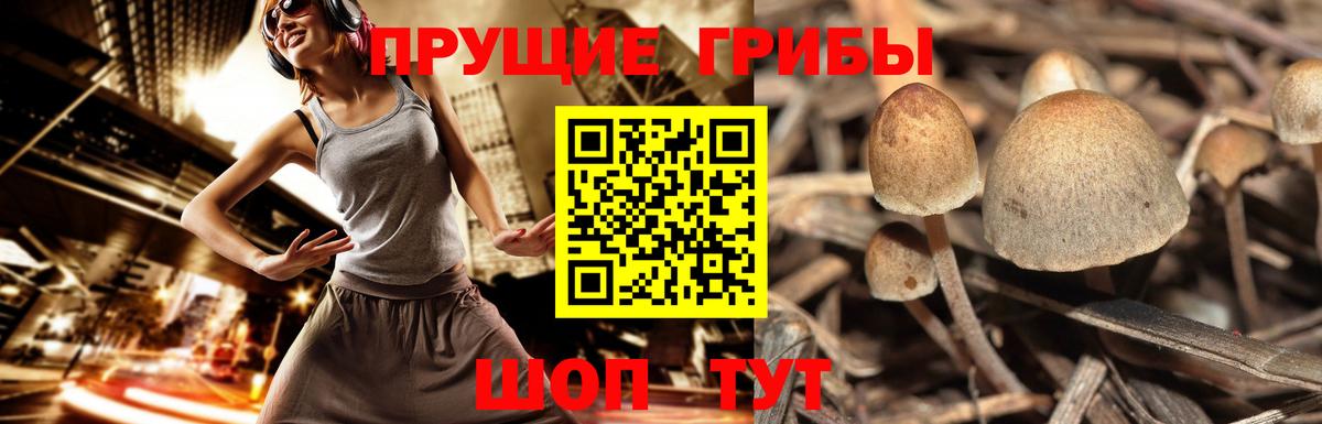  Cocaine Ейск
