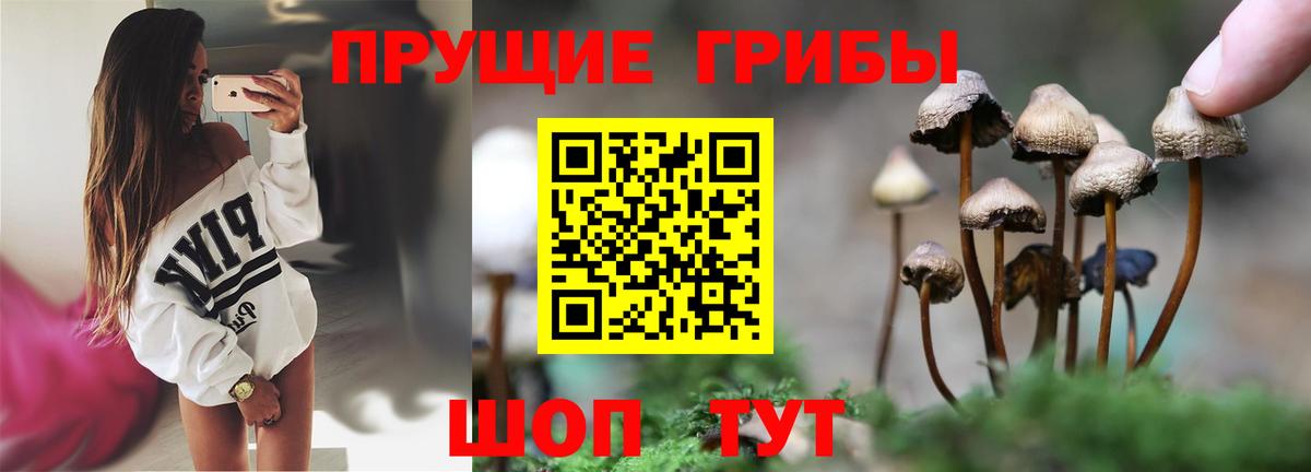 Галлюциногенные грибы GOLDEN TEACHER Ейск